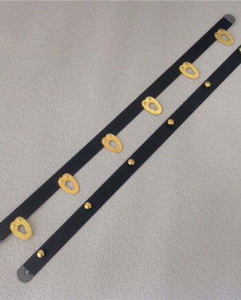 Black 6 Buckles Corset Busk (Gold)